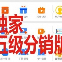 2019影视APP代理越权带安装和支付视频教程