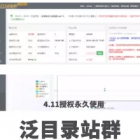 PHP全新泛目录站群系统源码 加入插件机制方便二次开发 支持泛端口模式