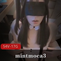 OnlyFans的大雕TS-mintmoca3合集 54v – 17G