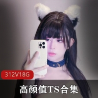 OnlyFans露脸高颜值TS合集 312v – 18.4G